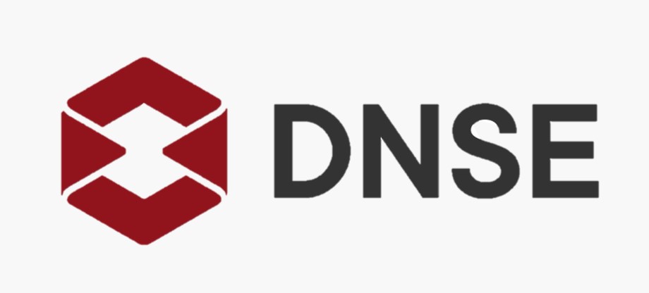 DNSE